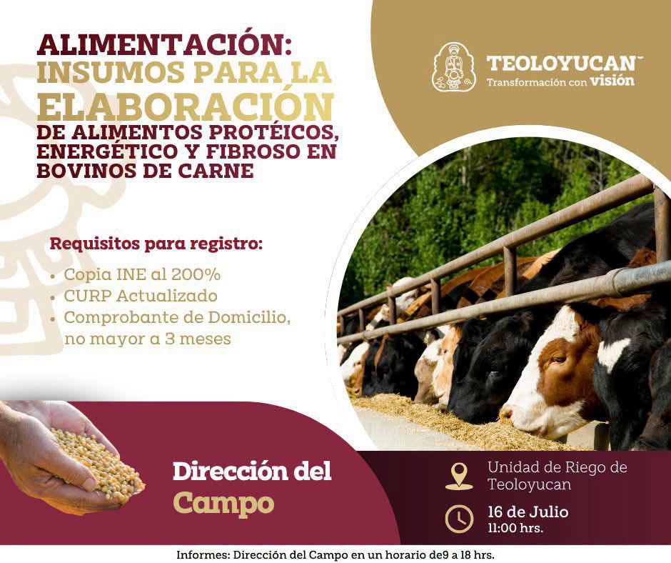 Dirección del Campo